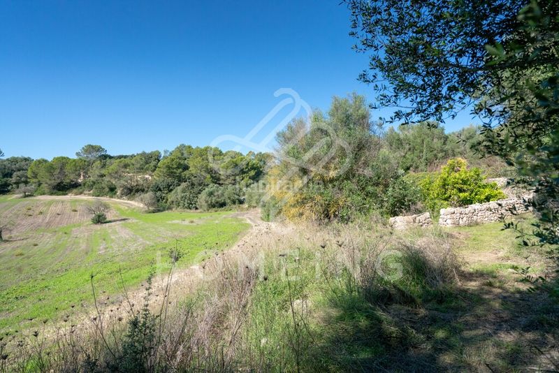 Foto 68cebdef-9234-4dfa-8f8b-27f1a21739c8. Masia a Costitx