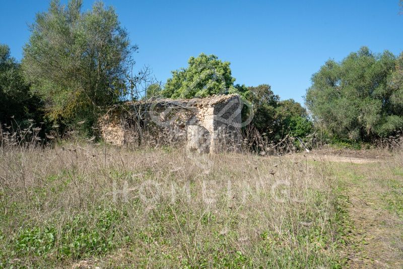 Foto 9ce6ae42-61e8-4645-85bf-b1c3299ece1f. Masia a Costitx