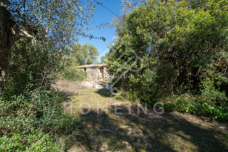 Foto b5da3c5e-1c93-4ca3-bb0d-3c81cab9fef6. Masia a Costitx