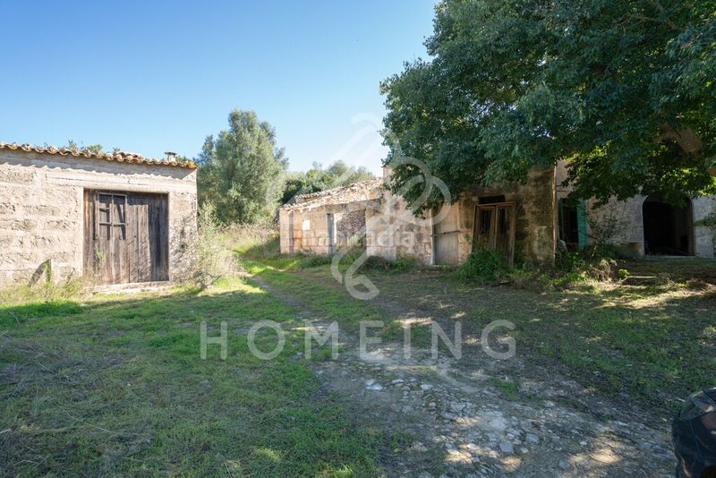 Foto b9e7a861-1384-4c19-9fed-27148dfdc422. Masia a Costitx