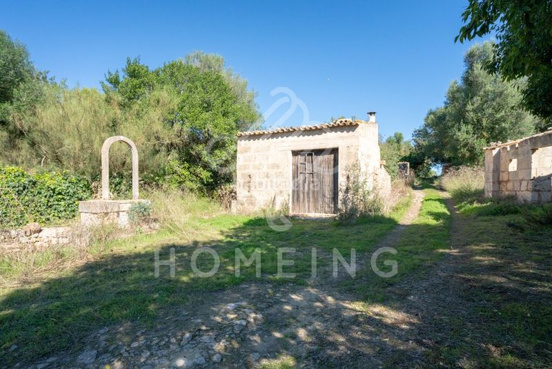 Foto d28f5a0d-26ba-493f-9cf0-c9054a7cb2eb. Masia a Costitx
