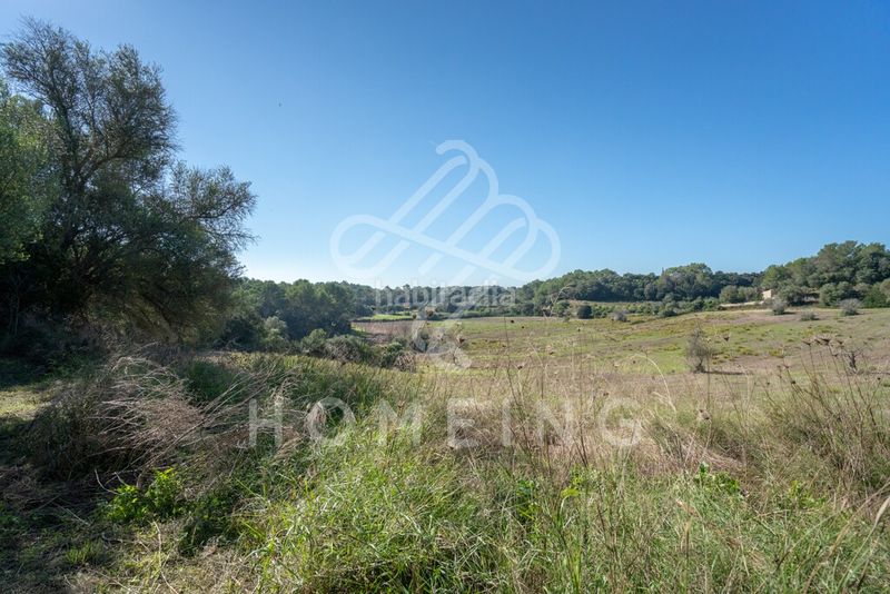 Foto f8d432d9-706b-448e-8326-455bbb2aa0ab. Masia a Costitx