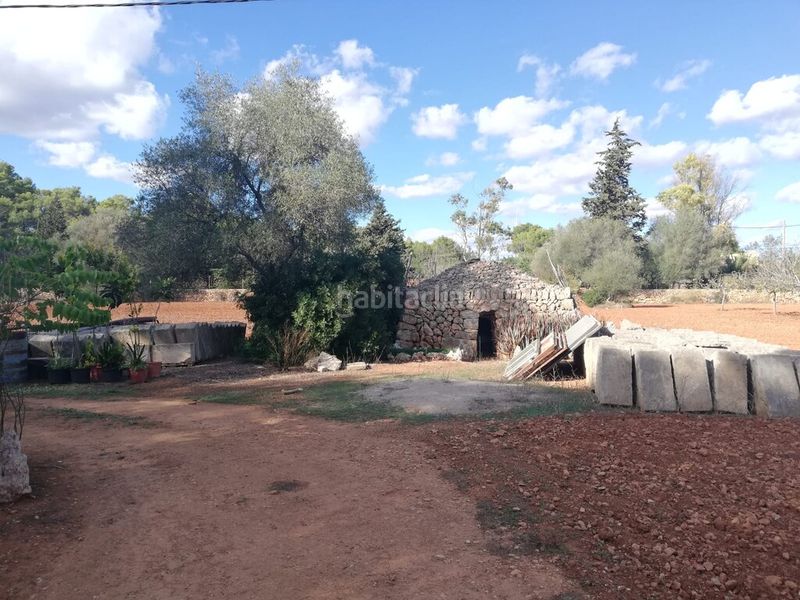 Foto 3b57327d-789f-4c4f-91ce-12774eb7c8e0. Finca rústica terreno rustico edificable. totalmente vallado en Algaida