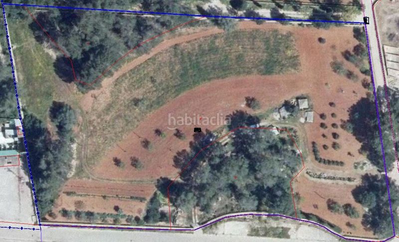 Foto 59245e51-b093-417e-83af-c72547fd0421. Finca rústica terreno rustico edificable. totalmente vallado en Algaida