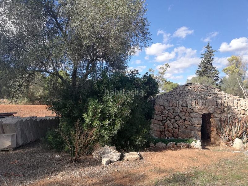 Foto 298fba01-bc21-49ea-9254-624388dd6e46. Finca rústica a Algaida