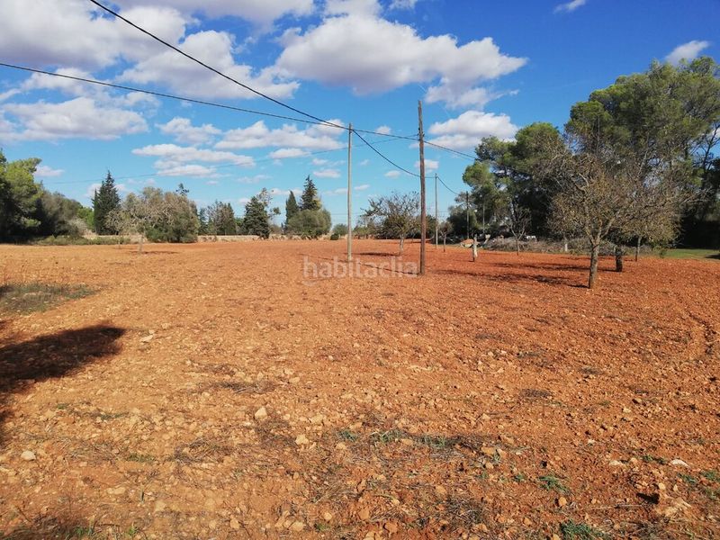 Foto 9327172d-1966-46d3-9281-68e3ac16a669. Finca rústica a Algaida