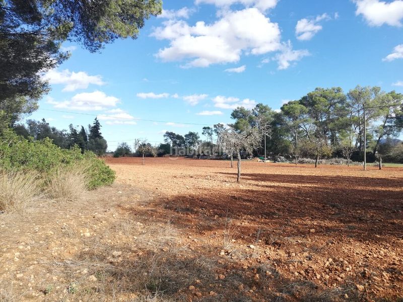 Foto 9ceacb12-2f99-43c7-9ab2-de375e82146d. Finca rústica a Algaida