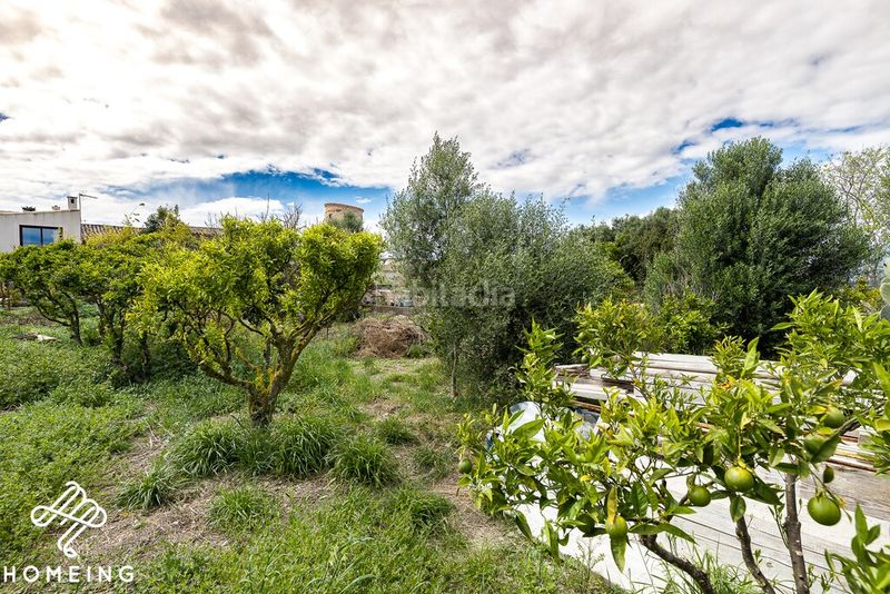 Foto da25bcb5-d745-48d3-bd99-8fd7c45eb1fc. Masia a Costitx