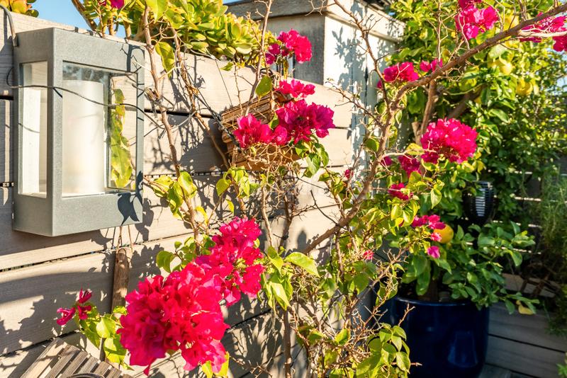 Foto 68e9582c-6529-4e3f-a6c0-401857fc904d. Ático precioso ático reformado con 50m2 de terraza privada en Barcelona
