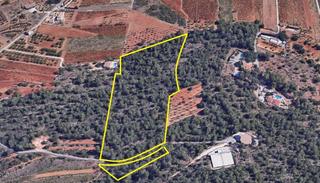 Finca rústica a Avinguda sant domènec 1a. - parcela inmensa -