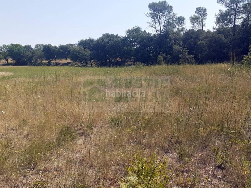 Foto 4732f726-3852-4883-9322-bccea9a33100. Wohngrundstück in Vilopriu