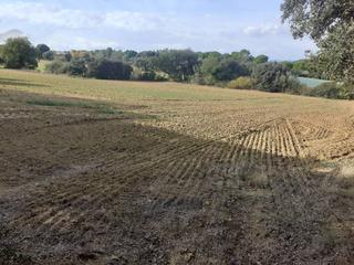 Finca rústica a Ullastret. Terreno rústico de conreo de secano situado en ullastret