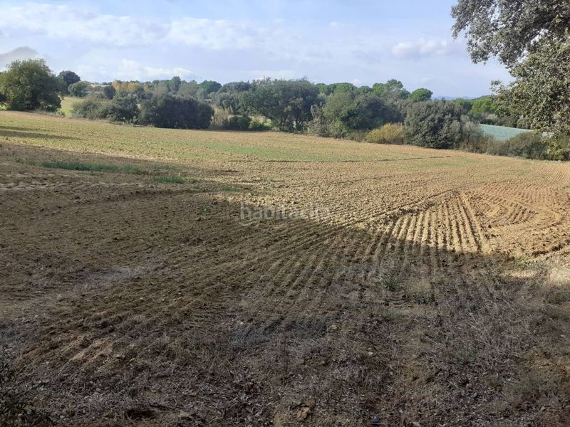 Foto 6a646a49-4d40-4641-ad6e-bcd741d8165e. Finca rústica a Ullastret