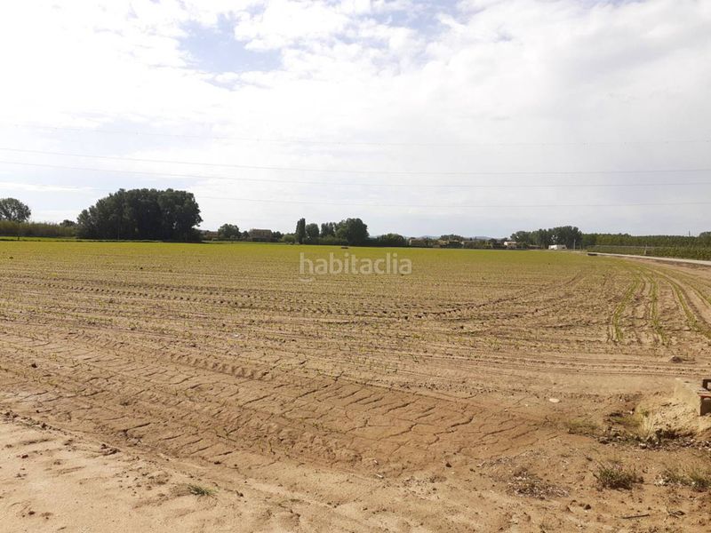 Foto 8737f123-4a98-45d2-b462-7604963022c6. Finca rústica a Ullastret