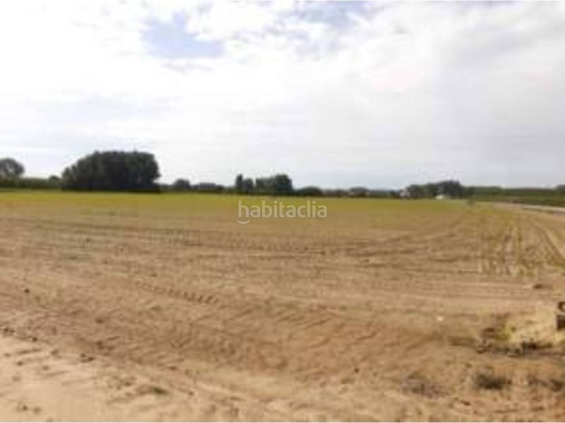 Foto cf79a3e5-e656-4e8b-be90-1524106cddc3. Finca rústica a Ullastret