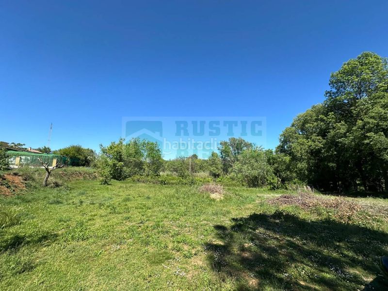 Foto 5bc292ec-ba16-4768-ac33-d0e496b3fe4a. Masia amb piscina a Serinyà
