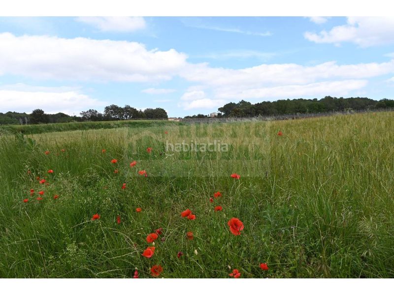 Foto d6d543ac-12b1-4e3a-9ccf-842a5a22e120. Masia a Pera (La)