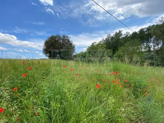Country house in Pera (La). En exclusiva venta de antiguo molino de dos plantas por reformar