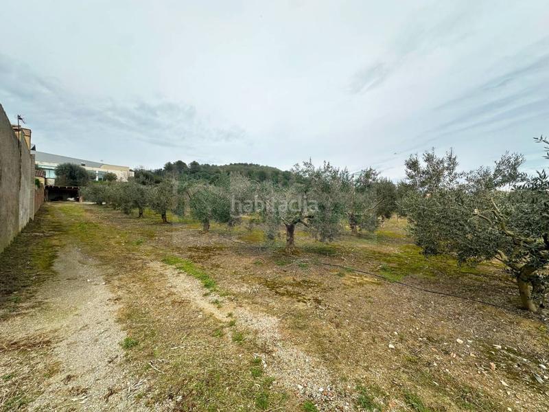 Foto 443ae53f-642d-4fd1-82bb-3137e01b3386. Wohngrundstück in Parlavà