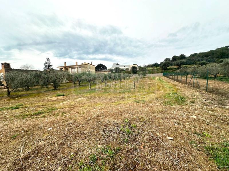 Foto ba3e487c-2a84-4713-8ffb-fa1721cb7156. Wohngrundstück in Parlavà