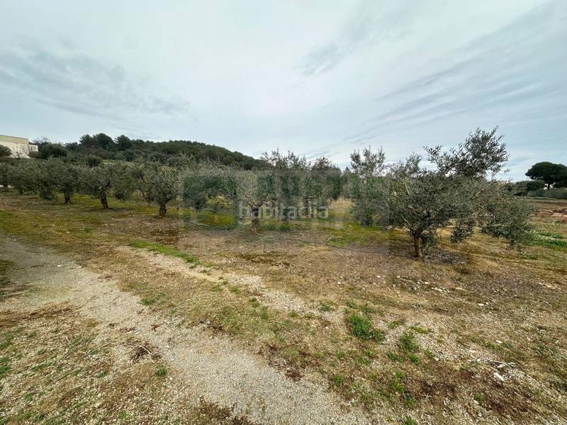 Foto d90bed26-a5f6-42fd-a4b4-896938c74dcb. Wohngrundstück in Parlavà