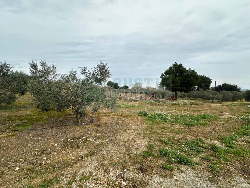 Foto ee769d95-d035-4959-b9d5-88948db8e24e. Wohngrundstück in Parlavà