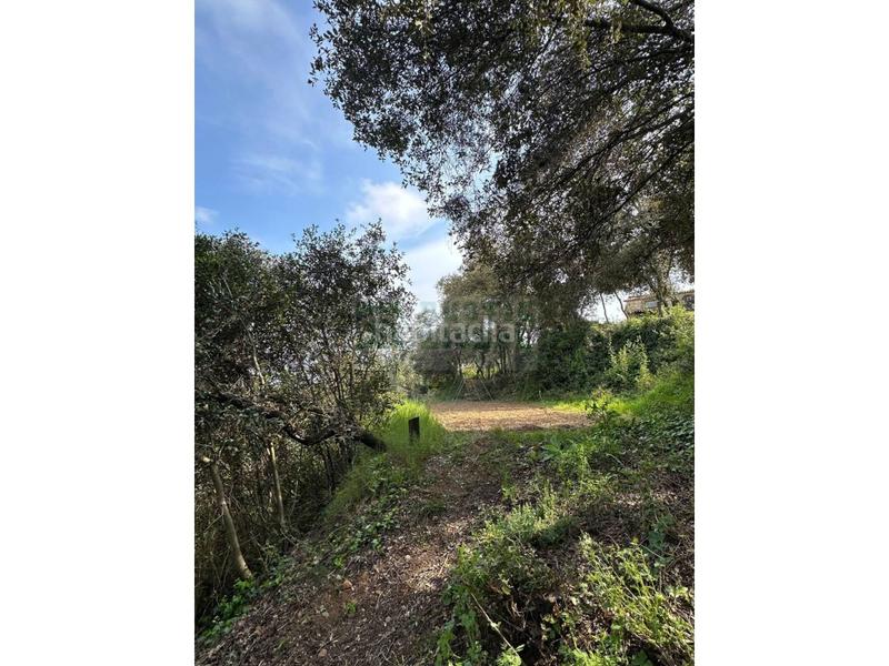 Foto 6955d780-b7e5-4e72-b678-45fb4a18f483. Masia amb calefacció aparcament a Vilopriu