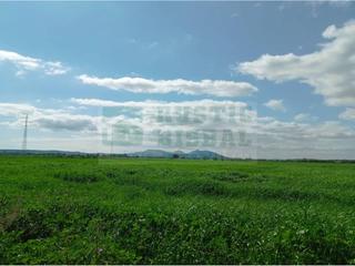 Propriété à Viladamat. Viladamat, alt empordà terreno de cultivo en venta con opción pa