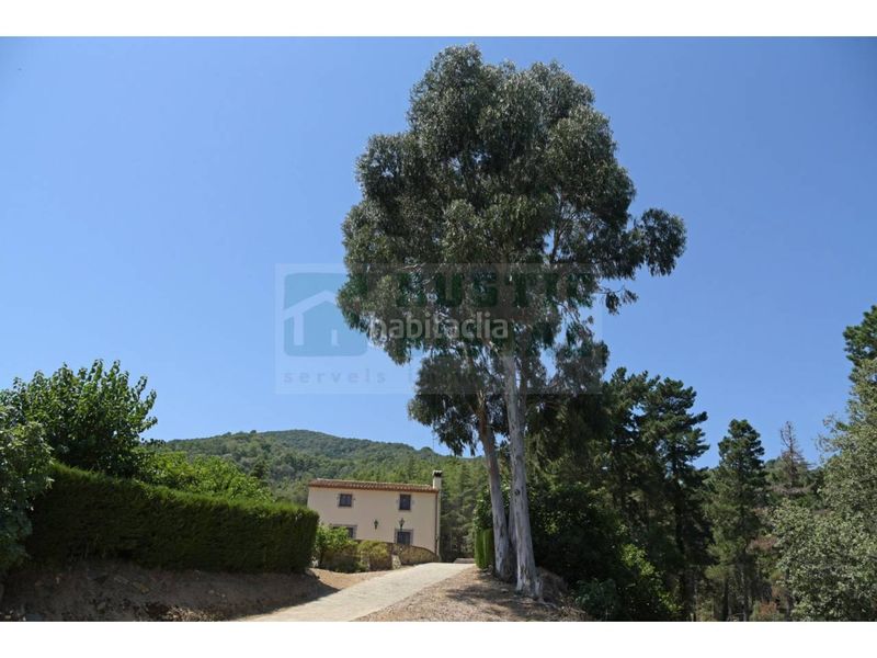 Foto 1c539a29-d98c-4ea2-b6a7-a123c829cdee. Masia amb calefacció aparcament piscina a Tordera Tordera