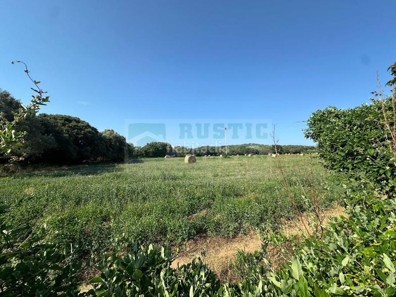 Foto 5564869e-c0f7-44da-a307-b91d285bc7fe. Masia amb calefacció a Piverd-Vila-Seca-Bruguerol Palafrugell