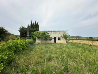 Rural plot in Ullastret. Venta de terreno agrícola en ullastret con viñedo, olivos y barr