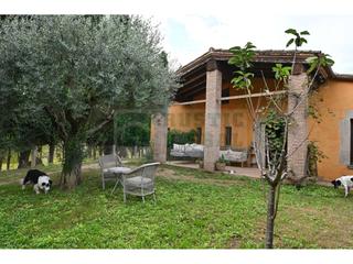 Mas à Vilopriu. Casa en venta en vilopriu con parcela vallada, pozo de agua y al