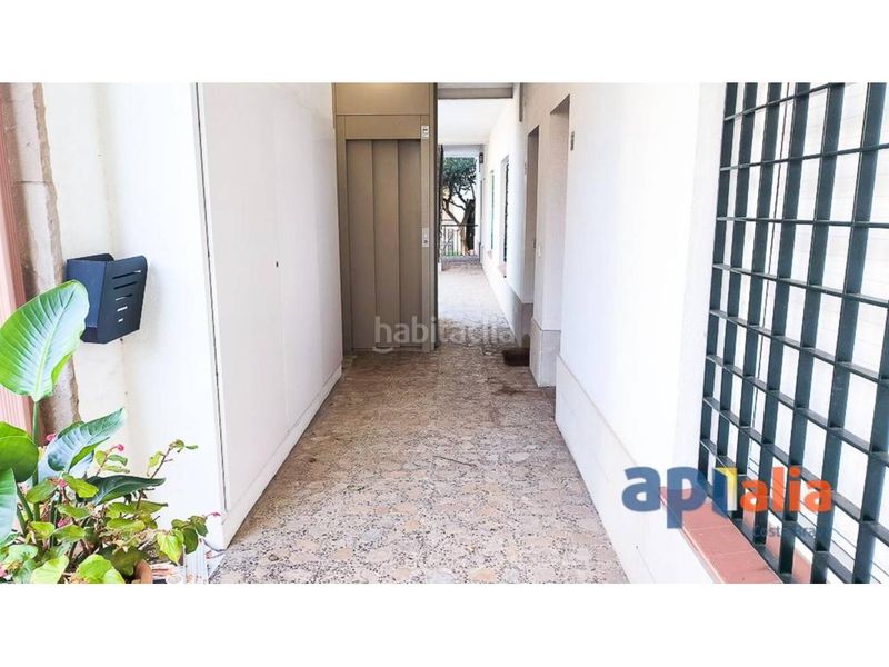 Foto 9e6517ba-6995-4897-82c8-4187752ff058. Pis a Puig Ses Forques - Torre Colomina Sant Antoni de Calonge