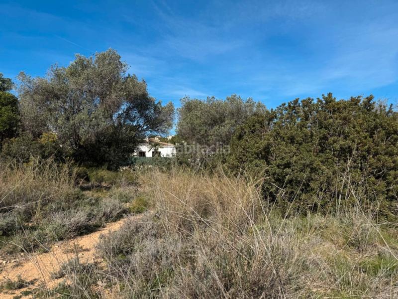 Foto ac1c898a-2b9e-4f0d-835e-b7c15c9c0971. Wohngrundstück in Cala Advocat-Baladrar Benissa