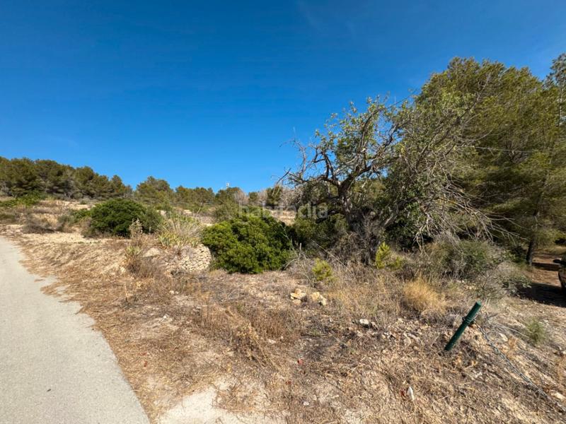 Foto 379cfd30-a336-46b6-b5e9-f78cf9518536. Residential plot in Benissa pueblo Benissa