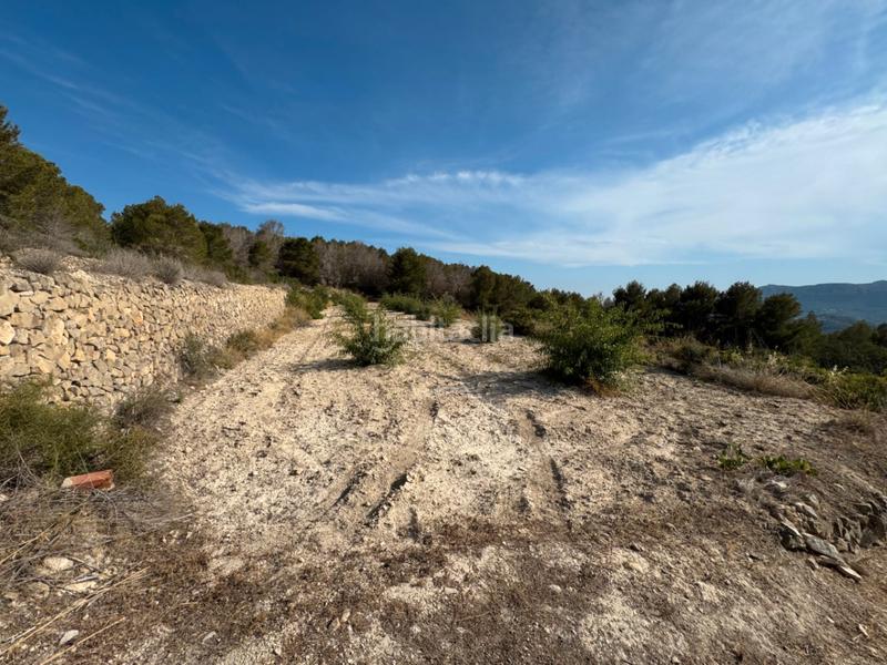 Foto 40f06c2c-9e8d-414f-86ee-108eb8c1197a. Residential plot in Benissa pueblo Benissa