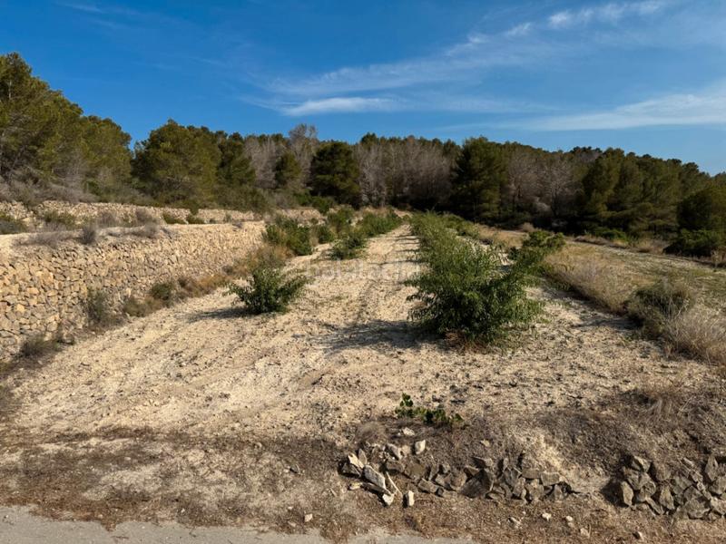 Foto 89085b8b-9a1c-4e15-9fa1-277045a940a3. Residential plot in Benissa pueblo Benissa