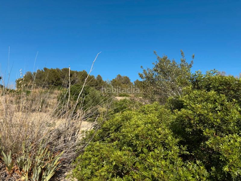 Foto f6d2667f-f298-43ff-ba1b-bef9bd34b5e3. Residential plot in Benissa pueblo Benissa