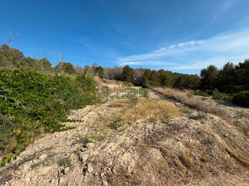 Foto 1702a2de-b8e9-4aeb-b329-c4af0c6465b1. Terrain résidentiel dans Benissa pueblo Benissa