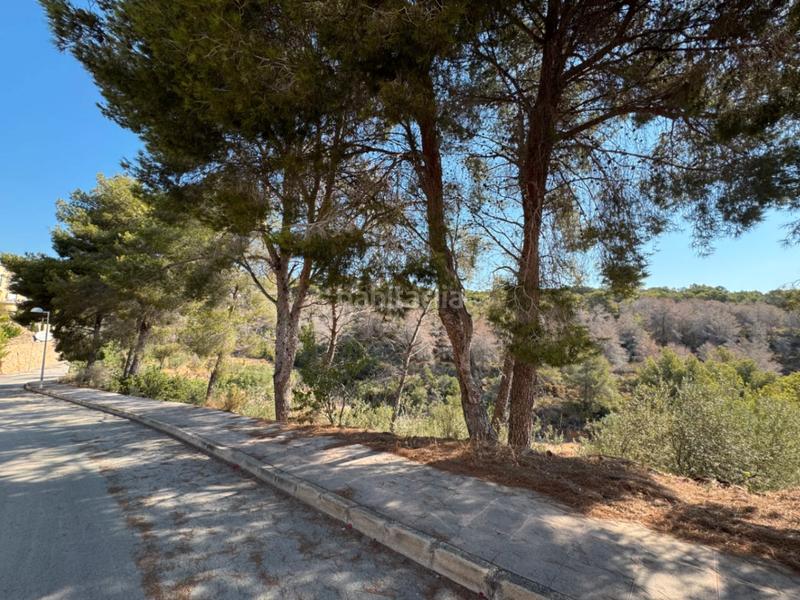 Foto e7e1e123-924d-4a04-bd1f-be437036e977. Terreno residencial en La Fustera Benissa
