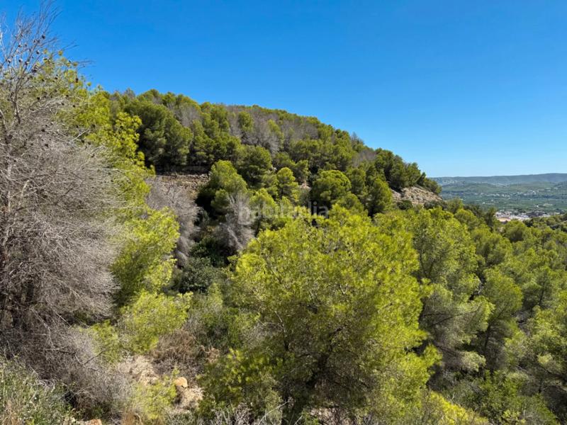 Foto 5e672efb-0522-44bf-9c64-0492d34d75a6. Wohngrundstück in Partida Tosal - Zona dels Castellans Xàbia