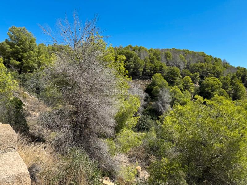 Foto 8930ca15-269b-4a59-aa7d-ab1be870c61a. Wohngrundstück in Partida Tosal - Zona dels Castellans Xàbia