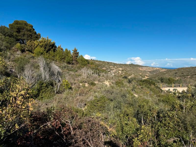 Foto 3fe4bc75-0e4f-4156-bc0d-a4383791c9c0. Wohngrundstück in Cumbre del Sol Poble Nou de Benitatxell (el)