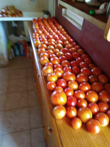 Foto ae49fcf6-7f17-4cc5-8059-9637cb28747e. Masia amb calefacció aparcament a Ondara