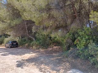 Residential Plot in Pinar de Advocat-Cometa