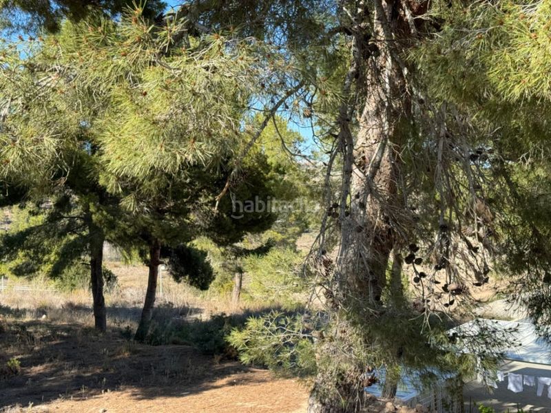 Foto ea4daa60-ee7b-4d06-aa1d-7ea0934812c7. Terreny residencial a Pinar de Advocat-Cometa Moraira