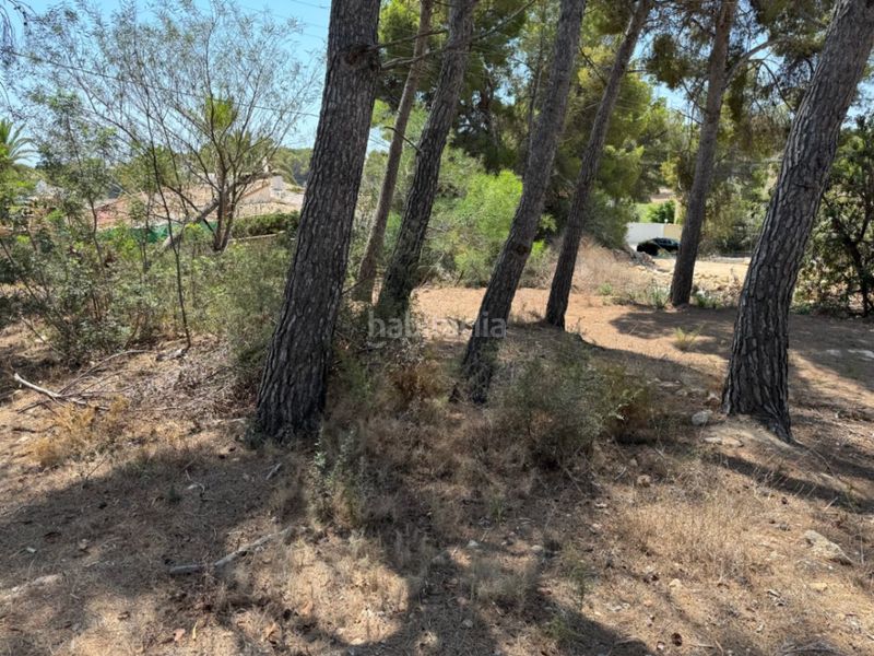 Foto 87272cd5-b4bd-4ff0-9cc6-4129c39f4562. Terreny residencial a Pinar de Advocat-Cometa Moraira