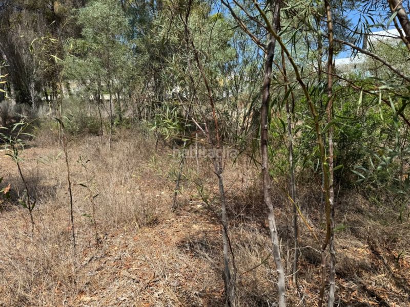 Foto c131c754-be36-46a9-9fde-0066d454d2f7. Terreny residencial a Pinar de Advocat-Cometa Moraira