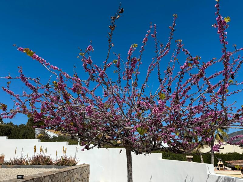 Foto d7912e17-310d-455f-97c0-89f5e47fda9a. Chalet avec chauffage parking piscine dans Benimeit-Tabaira Moraira