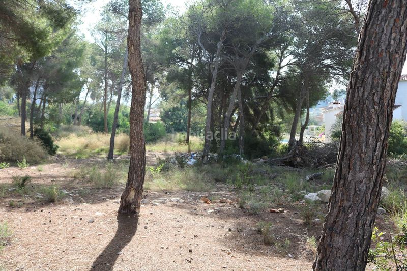 Foto 88f35f76-d5bc-41a3-94fa-486365ce4865. Terreny residencial a Pinar de Advocat-Cometa Moraira